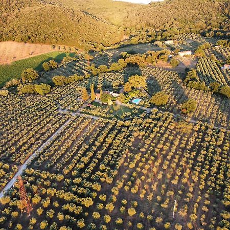 Agriturismo Podere Valdo ガヴォッラーノ エクステリア 写真