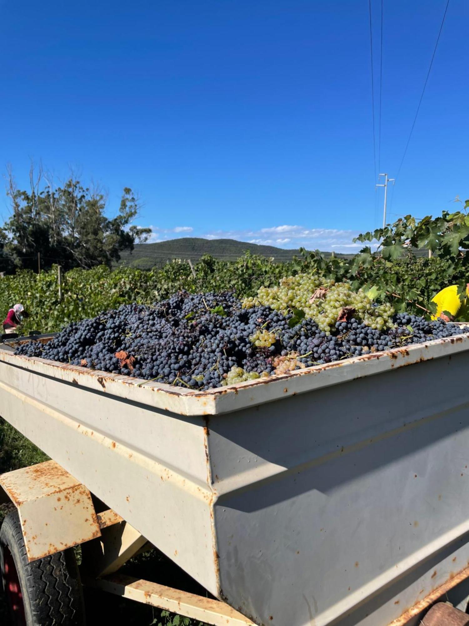 Agriturismo Podere Valdo ガヴォッラーノ エクステリア 写真