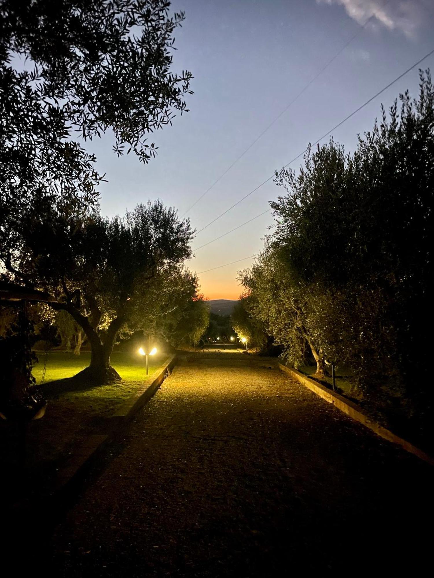 Agriturismo Podere Valdo ガヴォッラーノ エクステリア 写真