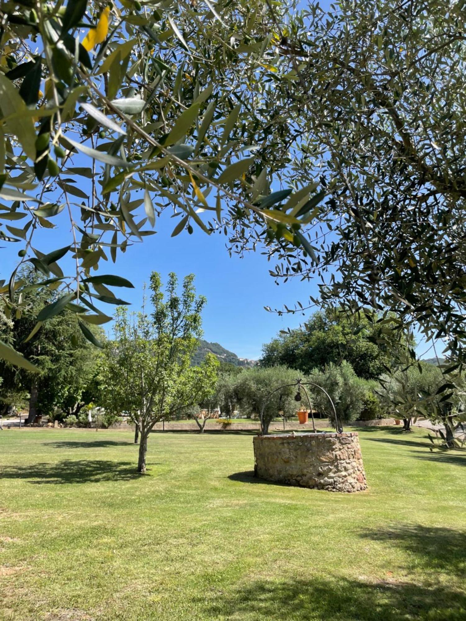 Agriturismo Podere Valdo ガヴォッラーノ エクステリア 写真