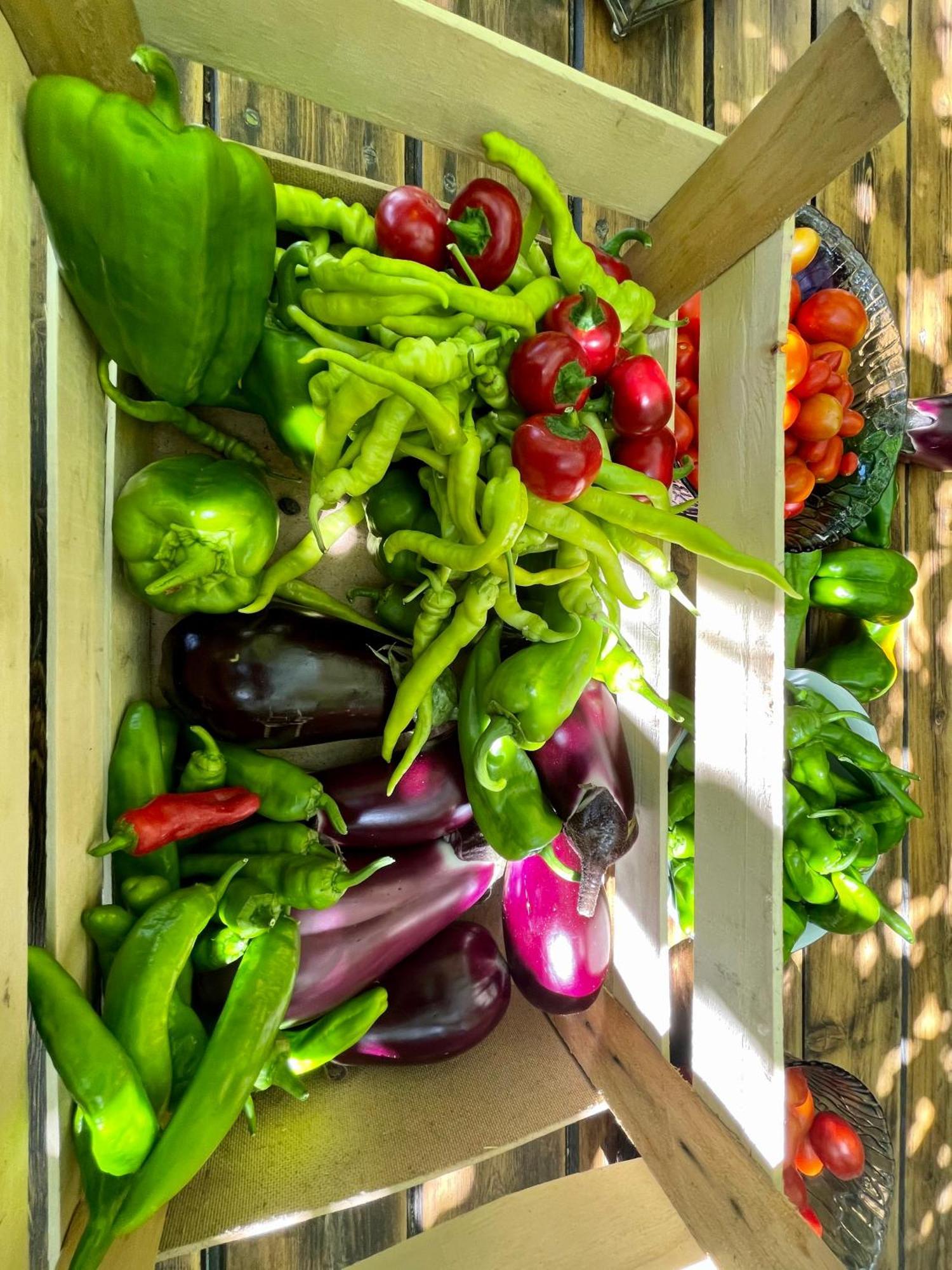 Agriturismo Podere Valdo ガヴォッラーノ エクステリア 写真