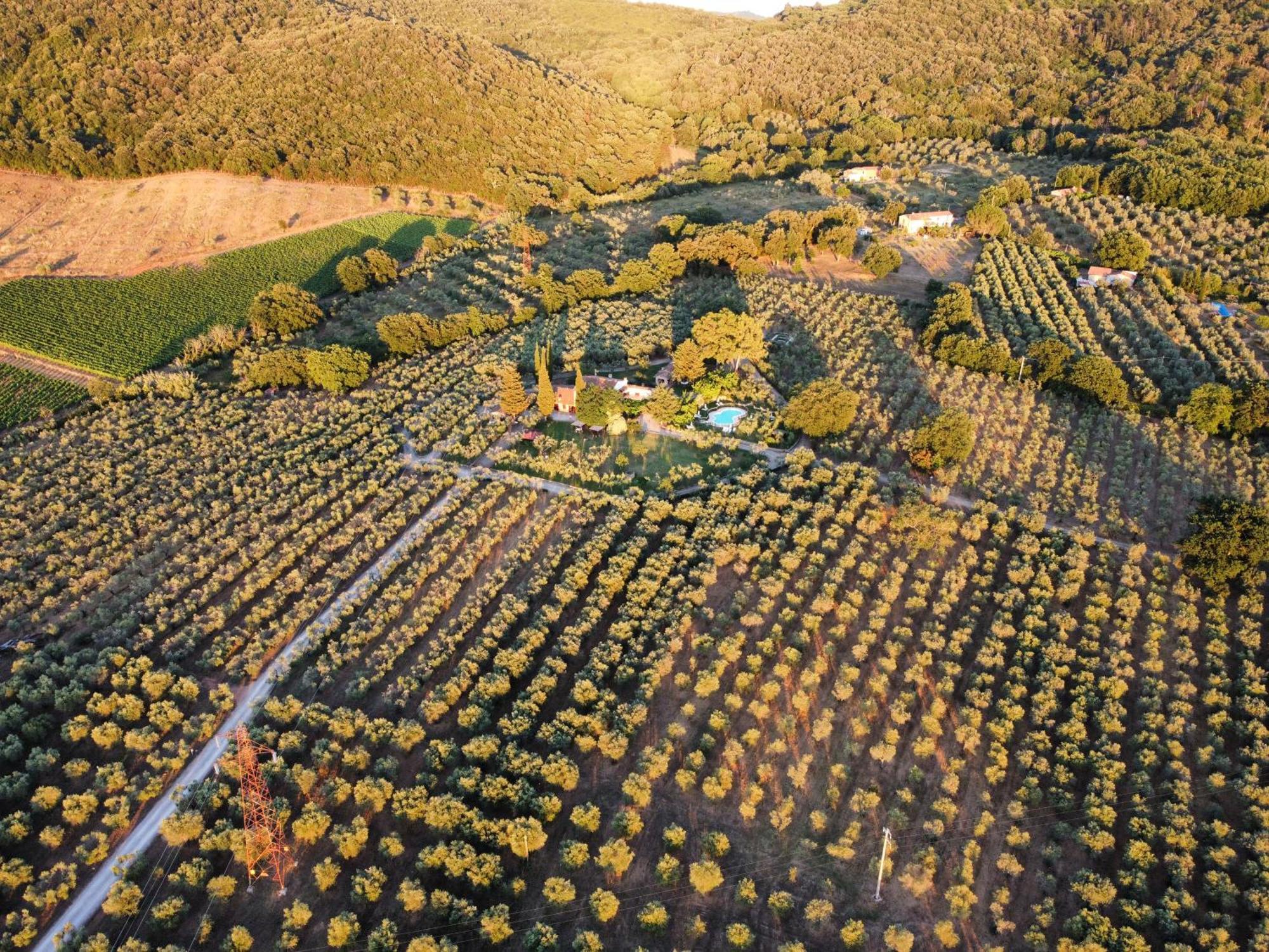 Agriturismo Podere Valdo ガヴォッラーノ エクステリア 写真