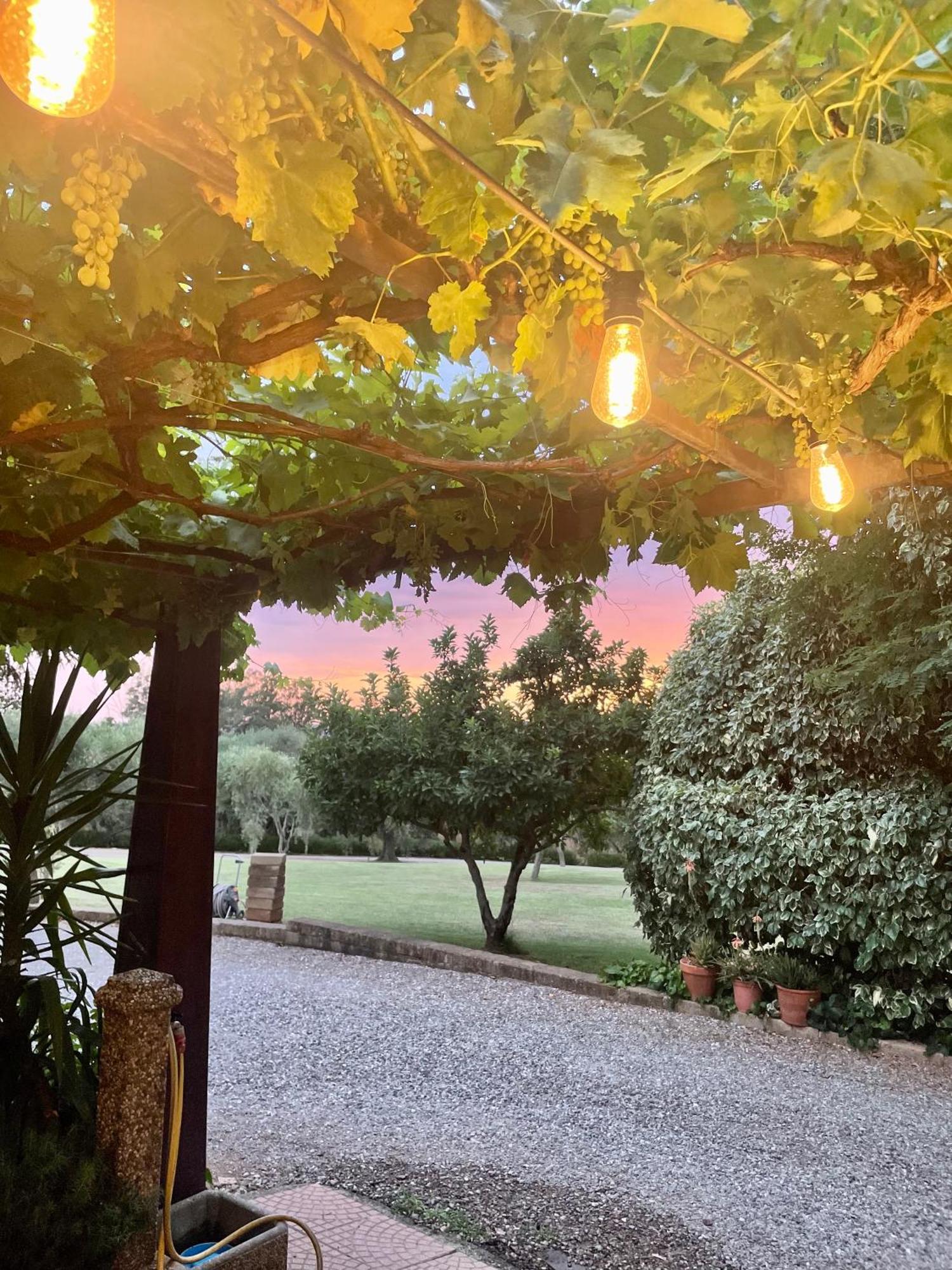 Agriturismo Podere Valdo ガヴォッラーノ エクステリア 写真