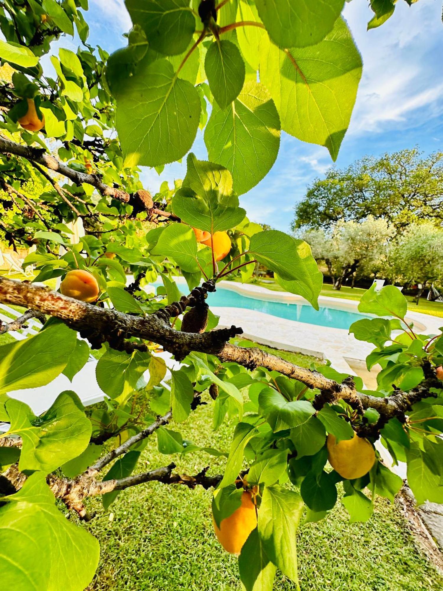Agriturismo Podere Valdo ガヴォッラーノ エクステリア 写真