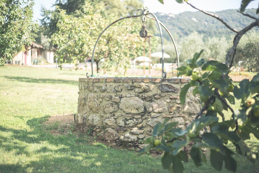 Agriturismo Podere Valdo ガヴォッラーノ エクステリア 写真