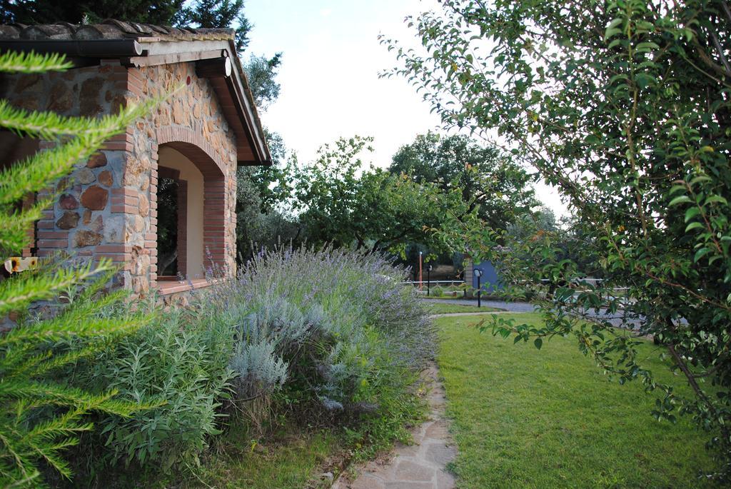 Agriturismo Podere Valdo ガヴォッラーノ 部屋 写真